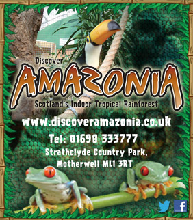 Amazonia advert