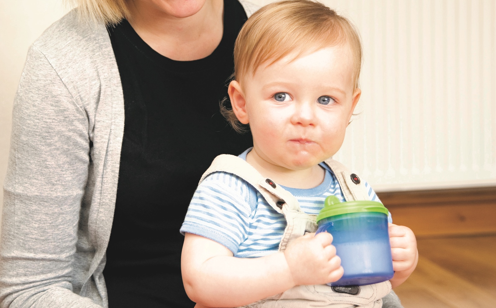 Scottish Milk and Healthy Snack Scheme | A Reminder for Childminders