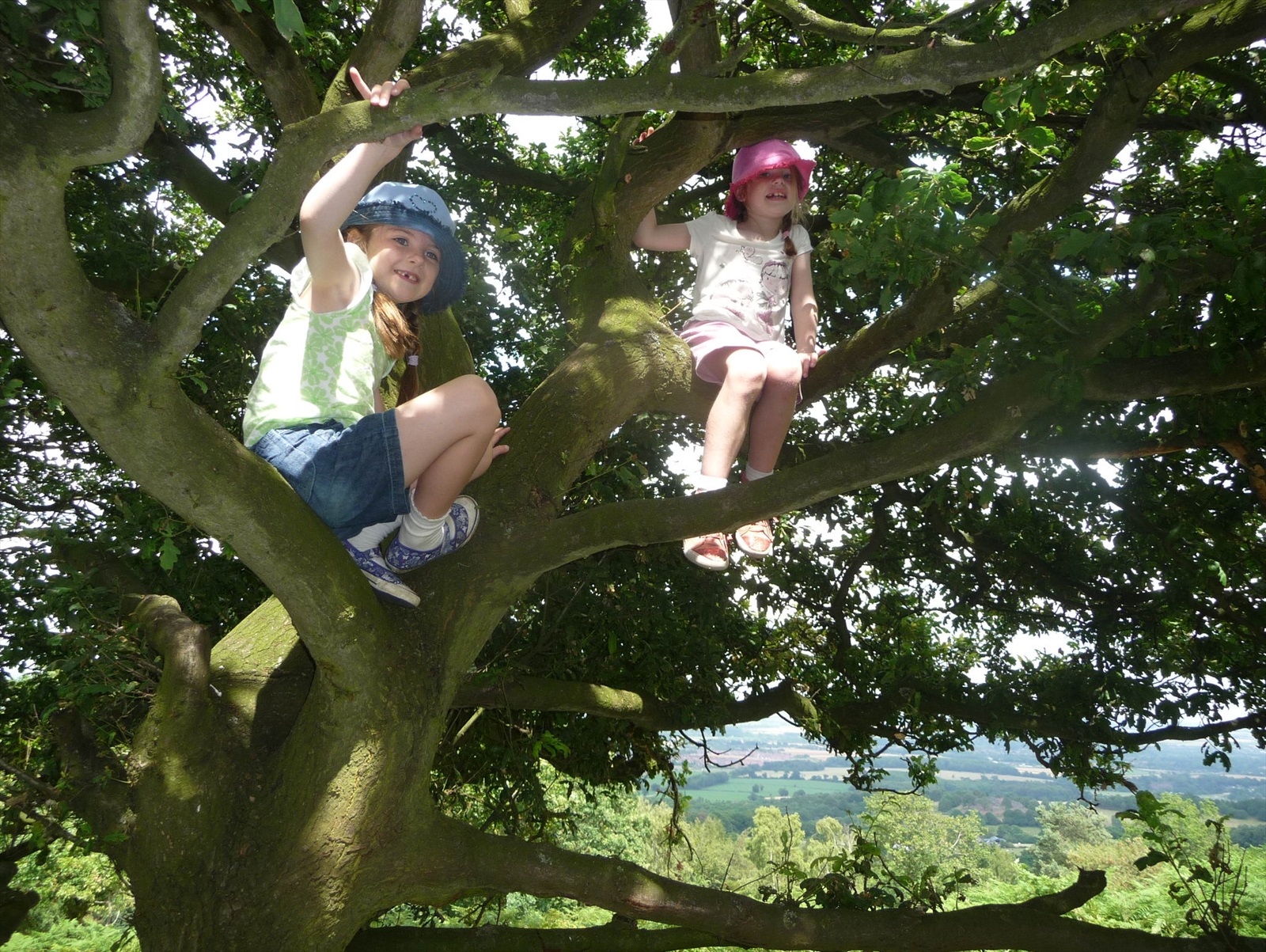 Tree Climbing is covered by SCMA Insurance