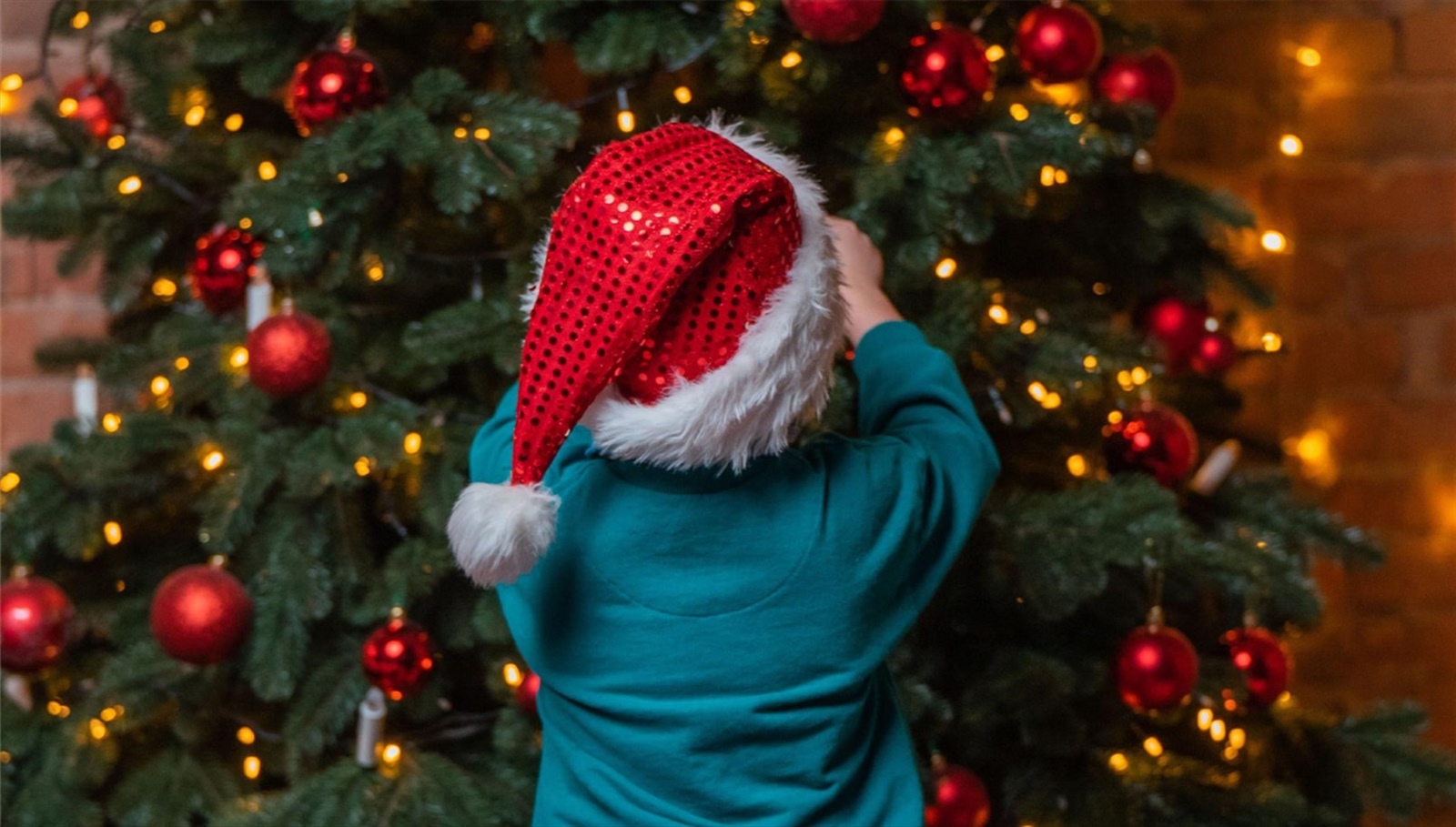 Festive News and Opening Hours 2023