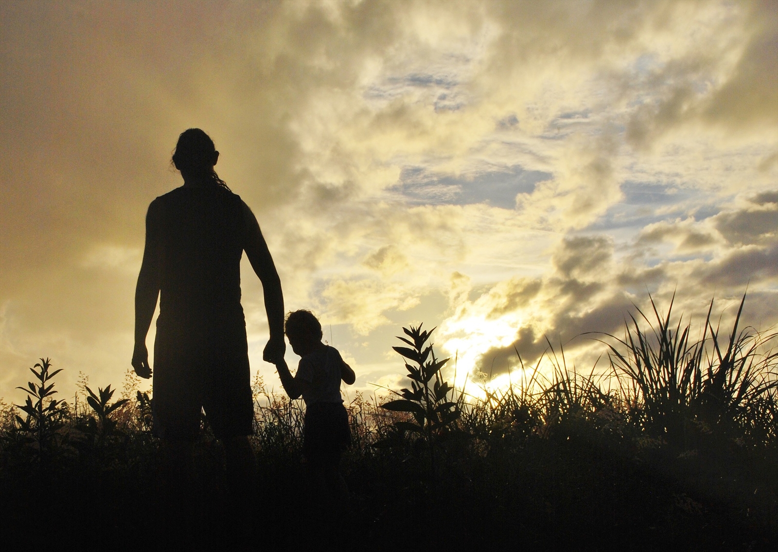 Childminder and parents to help shape the future work programme of Education and Skills Committee 